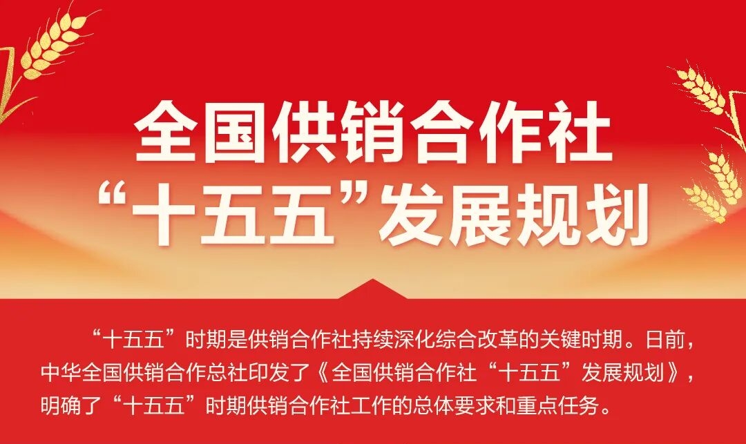 一图读懂《全国供销合作社“十五五”发展规划》